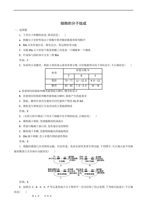 高中生物专题复习：细胞的分子组成