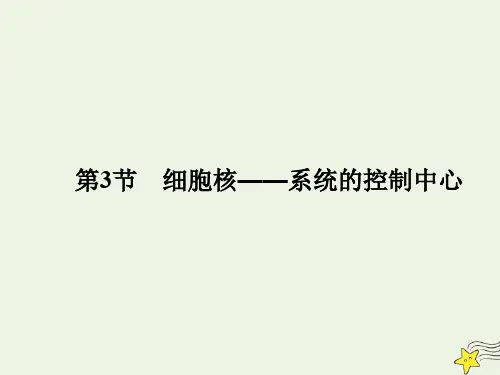 2020版高中生物第三章细胞的基本结构3细胞核——系统的控制中心课件新人教版必修1