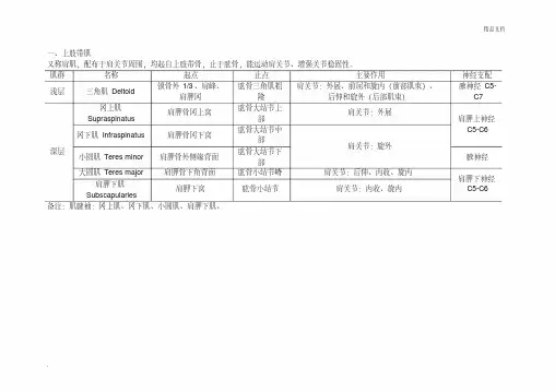骨科必备-上肢肌肉的起止点和功能表