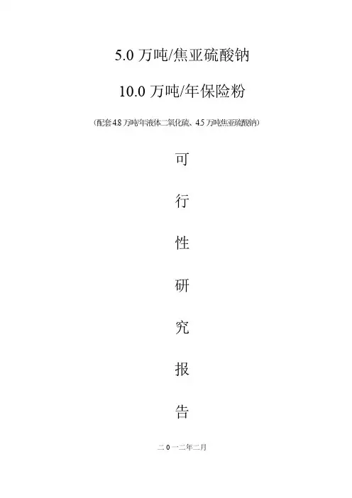 10万吨保险粉项目可行性研究报告