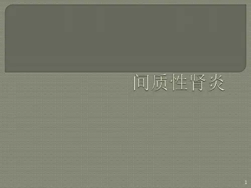 间质性肾炎