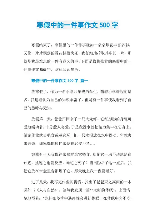 寒假中的一件事作文500字