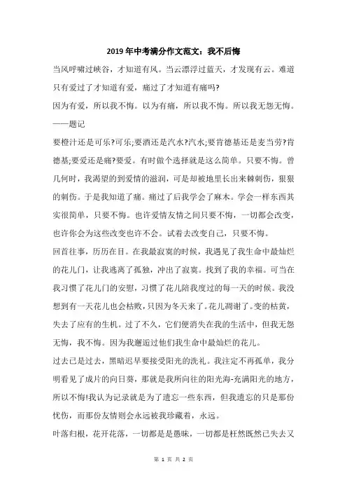 2019年中考满分作文范文：我不后悔