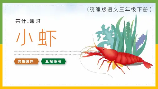 三年级语文下册小虾公开课课件