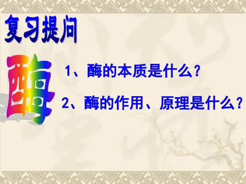 酶的特性PPT课件