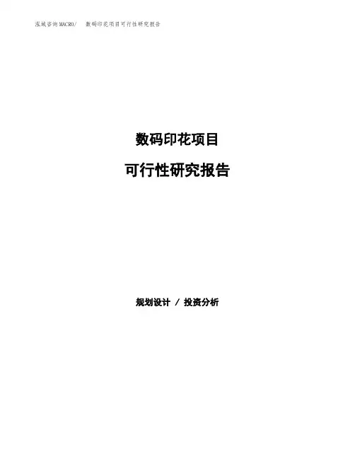 数码印花项目可行性研究报告模板及范文
