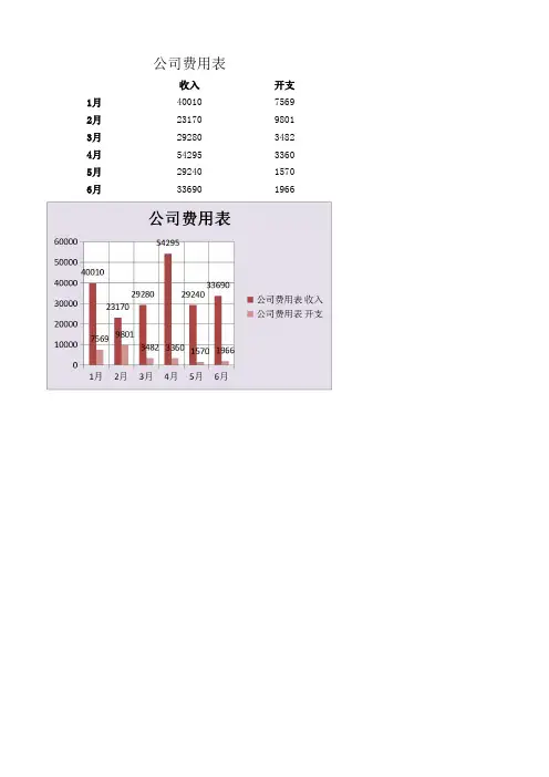 公司费用表