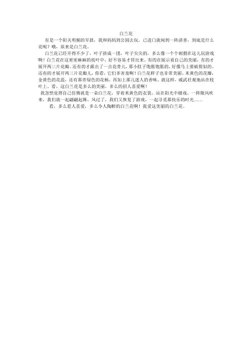 白兰花