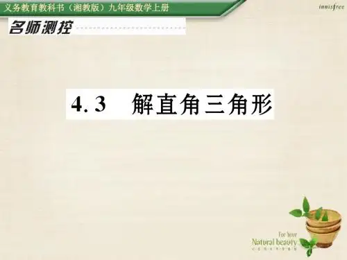 2016年秋九年级数学上册 43 解直角三角形课件 (新版)湘教版
