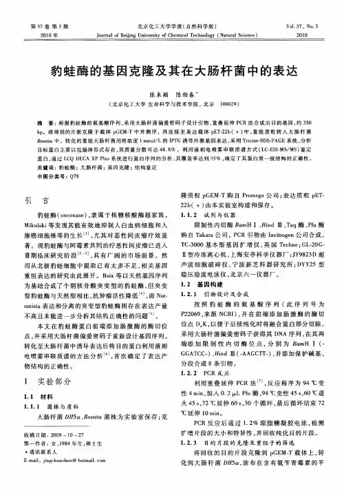 豹蛙酶的基因克隆及其在大肠杆菌中的表达