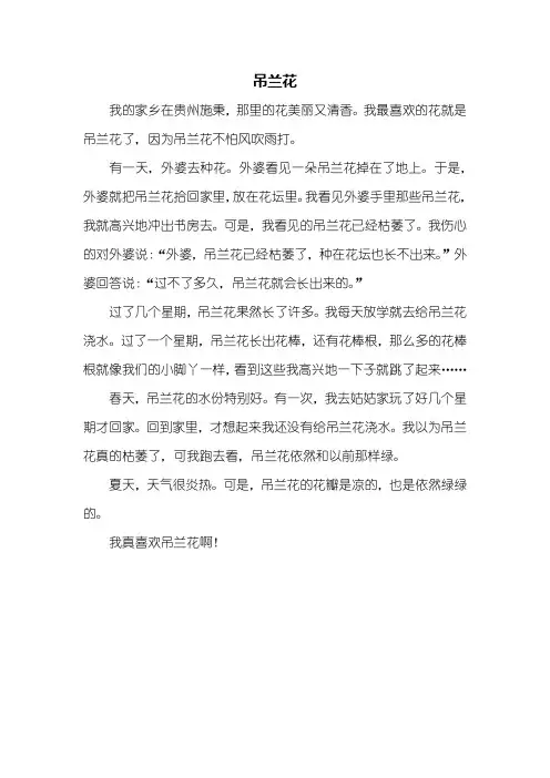 三年级作文：吊兰花作文400字