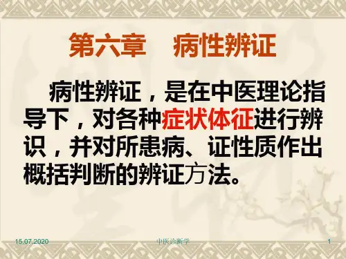 中医诊断学第六章病性辨证.