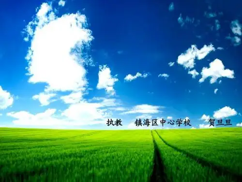 云房子(贺旦旦)