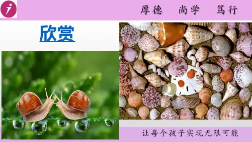 人教版八年级生物上册第五单元第一章第三节  软体动物和节肢动物(42张PPT)