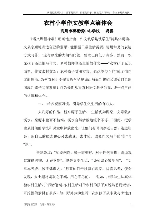 农村小学作文教学点滴体会