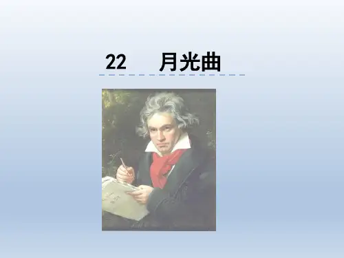 优质课 月光曲