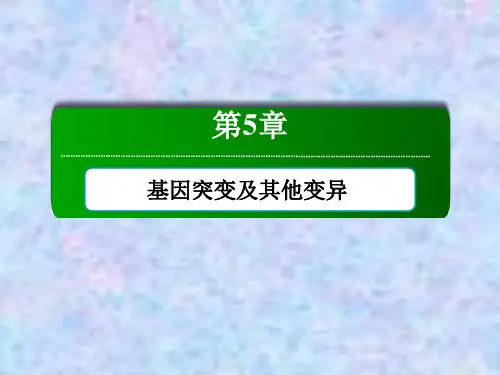 2021学年生物人教版必修2课件：5-2 染色体变异 