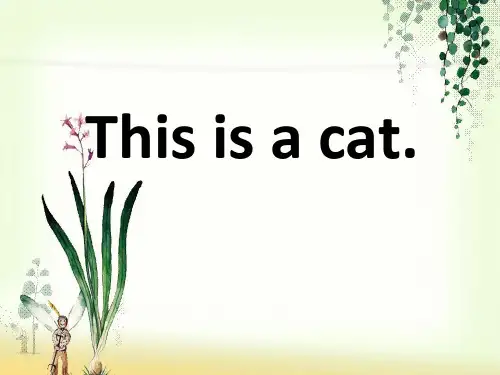 this is a cat