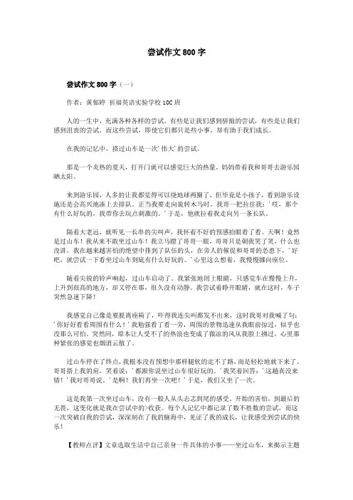 尝试作文800字