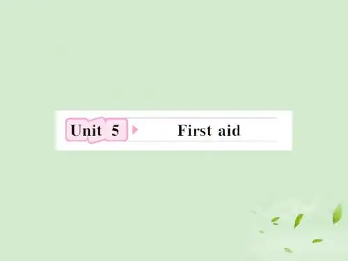 Unit5 Firstaid 知识与要点课件新人教版必修5课件.ppt