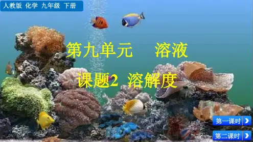人教版九年级化学下册第九单元溶液课题2溶解度