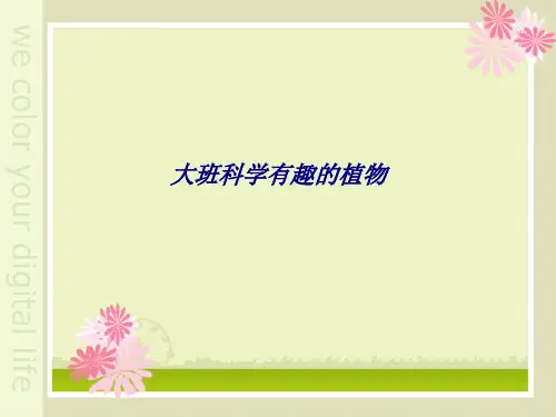 大班科学有趣的植物专题培训课件