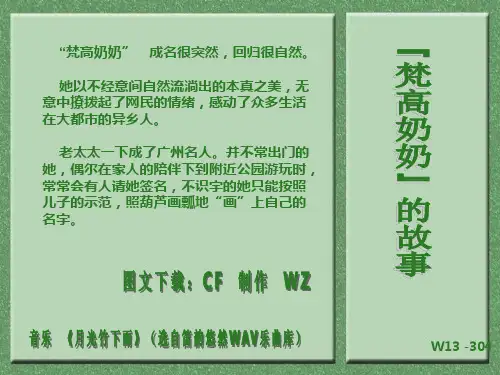 W13-304 “梵高奶奶”的故事