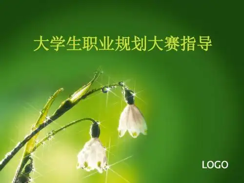 大学生职业规划大赛指导