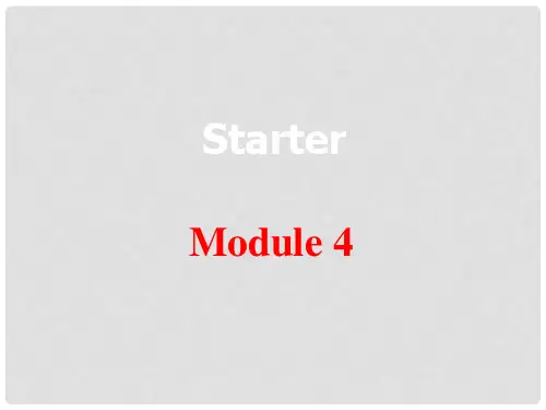 内蒙古鄂尔多斯市康巴什新区第二中学七年级英语上册 Starter Module 4 My every