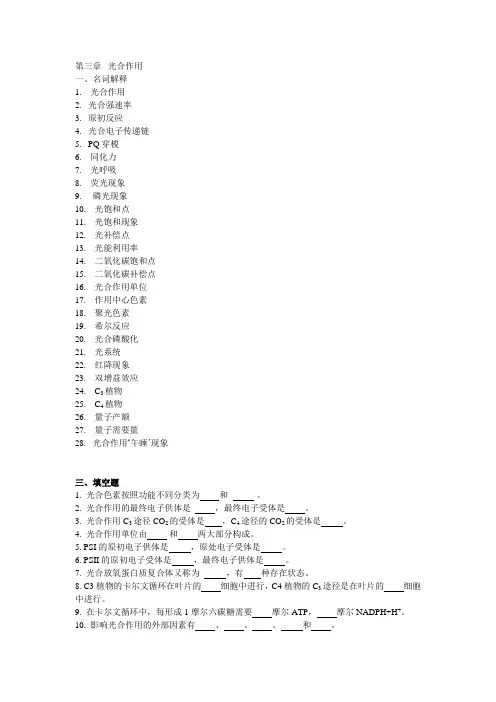 第三章  光合作用习题及答案