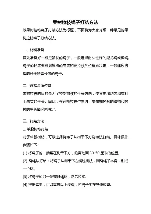 果树拉枝绳子打结方法 2