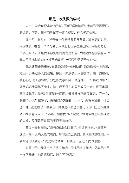 六年级作文：那是一次失败的尝试作文500字
