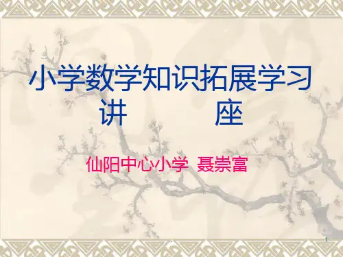 小学数学知识讲座.1ppt课件