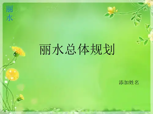 丽水总体规划