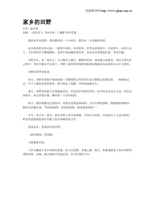 家乡的田野 2
