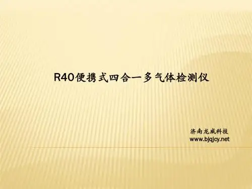R40便携式四合一多气体检测仪