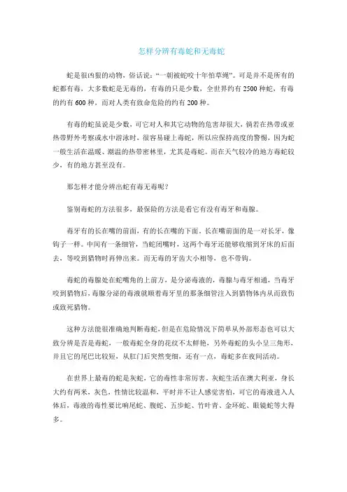 怎样分辨有毒蛇和无毒蛇