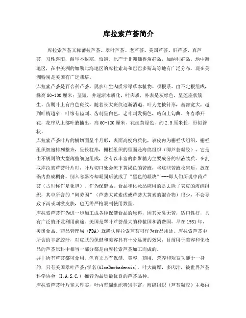 库拉索芦荟简介