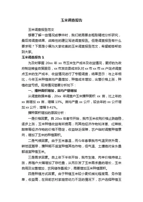 玉米调查报告范文