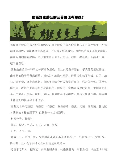 【推荐】揭秘野生蘑菇的营养价值有哪些？