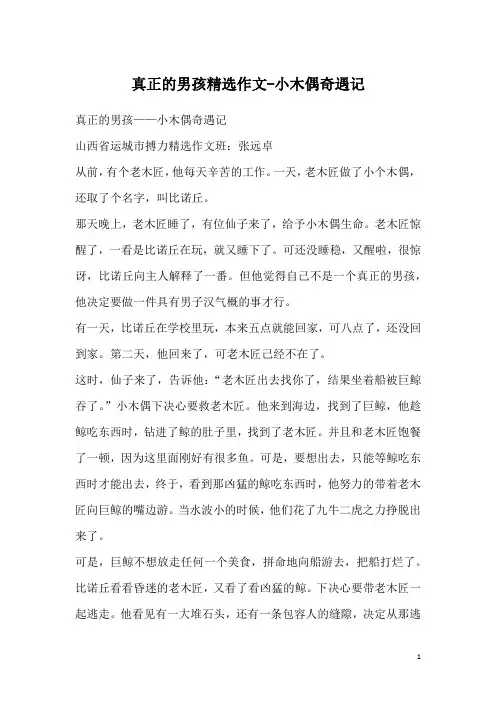 真正的男孩精选作文-小木偶奇遇记