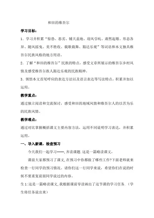 《和田的维吾尔》优质公开课教案 (2)