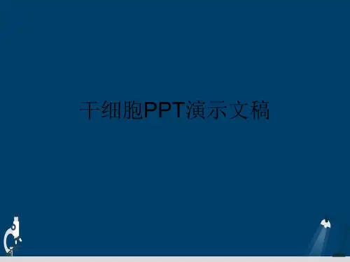 干细胞PPT演示文稿