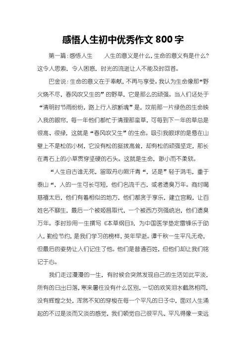 感悟人生初中优秀作文800字
