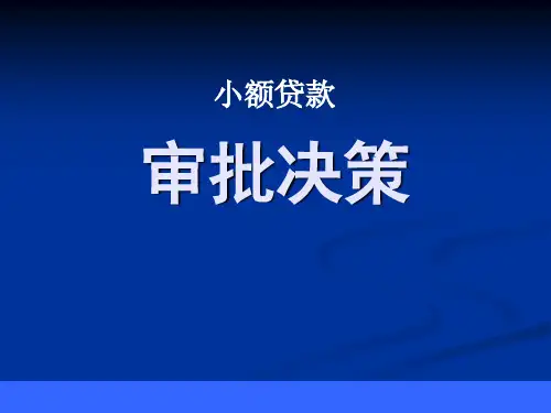 小额贷款审批决策流程