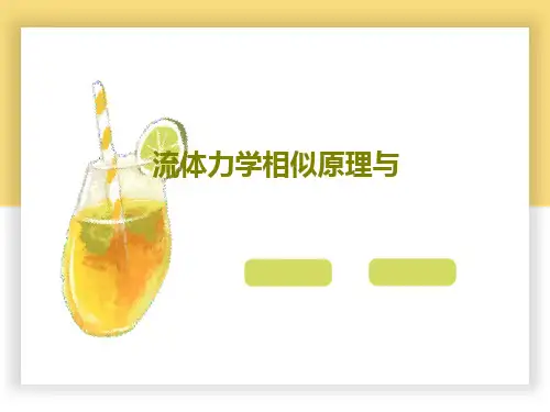流体力学相似原理与共49页文档