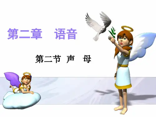 声母分类