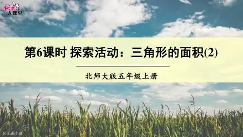 第6课时 探索活动:三角形的面积(2)