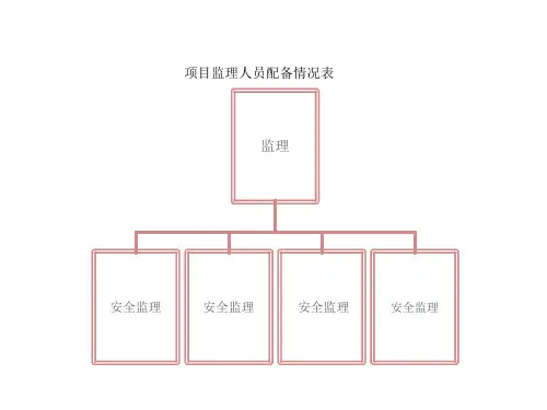 项目监理人员配备情况表