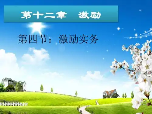 激励实务